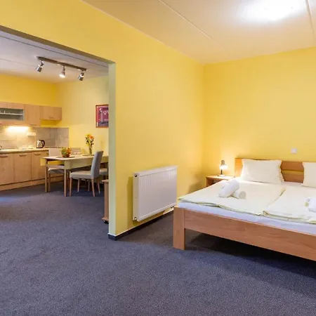 호텔 Hotel&wellness Knizeci Rybnik