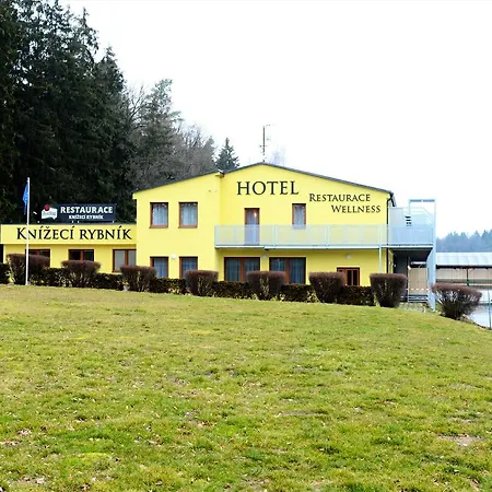 Hotel Hotel&wellness Knizeci Rybnik *