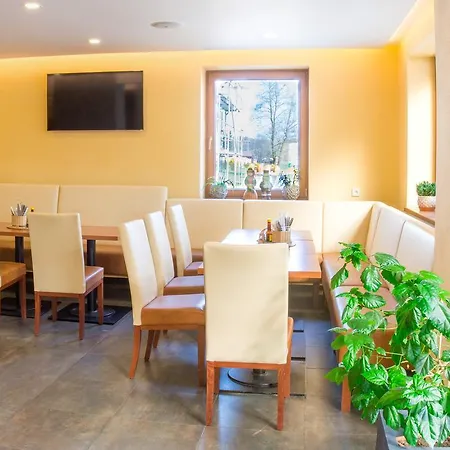 호텔 Hotel&wellness Knizeci Rybnik *