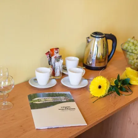 Hotel&wellness Knizeci Rybnik *