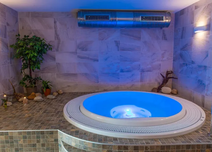 Hotel&wellness Knizeci Rybnik * Tábor