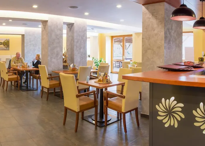Hotel Hotel&wellness Knizeci Rybnik *