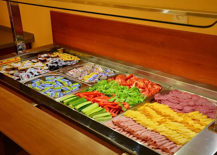 Hotel&wellness Knizeci Rybnik Hotel *