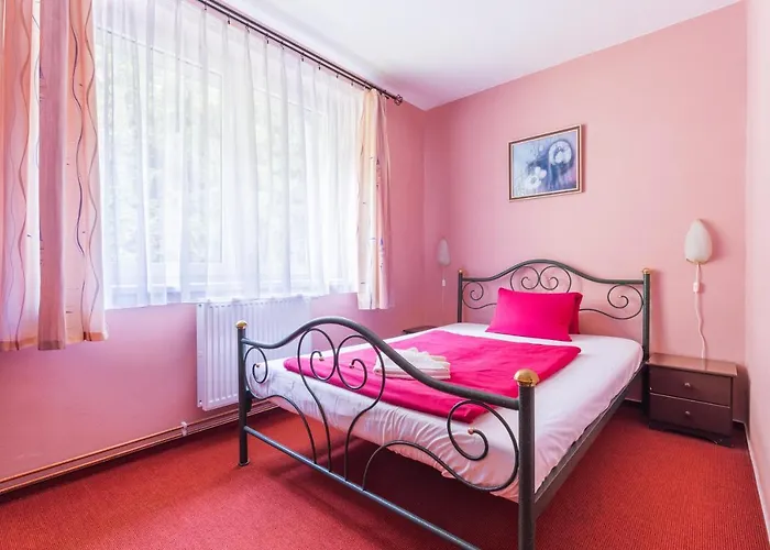 Hotel&wellness Knizeci Rybnik Hotel *