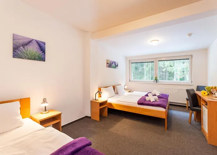 Hotel&wellness Knizeci Rybnik *