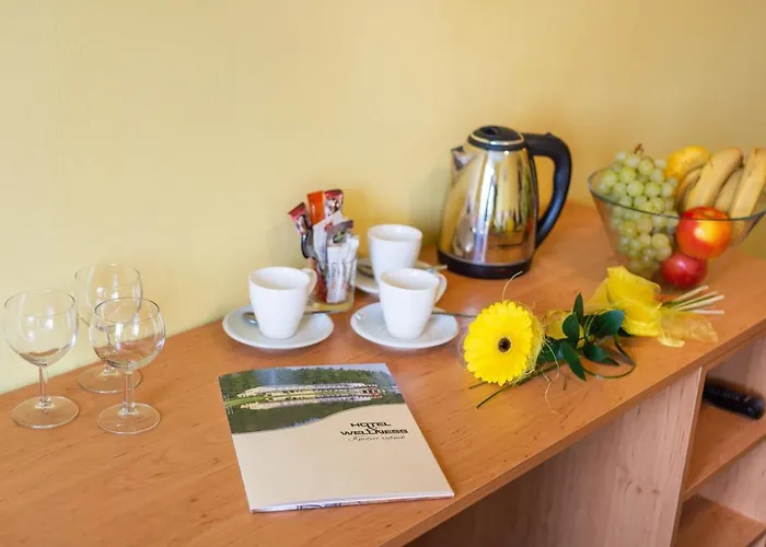 Hotel&wellness Knizeci Rybnik *