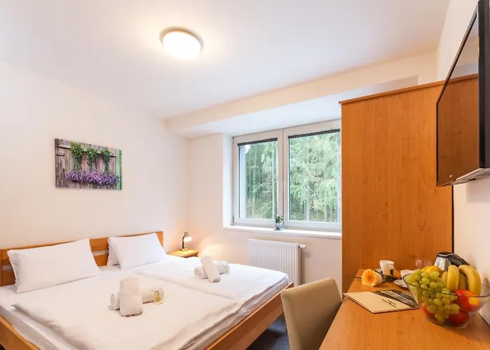 Hotel Hotel&wellness Knizeci Rybnik